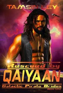 Rescued by Qaiyaan (Galactic Pirate Brides Book 1)