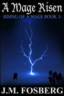 Rising of a Mage: Book 03 - A Mage Risen