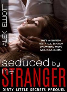 SEDUCED BY THE STRANGER (Dirty Little Secrets, #1)