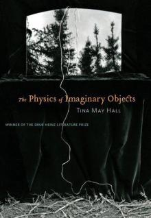 The Physics of Imaginary Objects