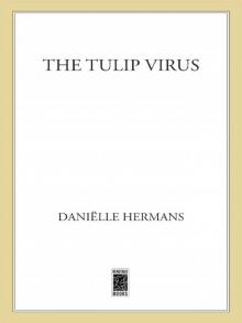 The Tulip Virus