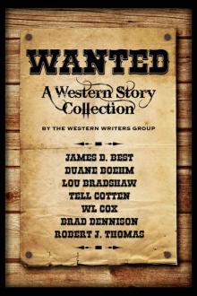 Wanted: A Western Story Collection