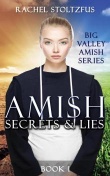 Amish Secrets and Lies