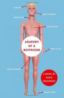 Anatomy of a Boyfriend