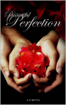 Beautiful Perfection (Beautifully Unbroken Book 2)