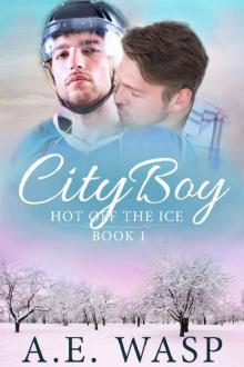 City Boy (Hot Off the Ice Book 1)