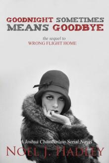 Goodnight Sometimes Means Goodbye (Wrong Flight Home, #2)