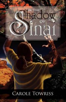 In the Shadow of Sinai (Journey to Canaan Book 1)