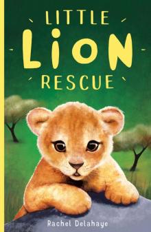 Little Lion Rescue