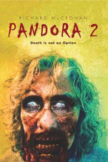 Pandora 2: Death is not an Option