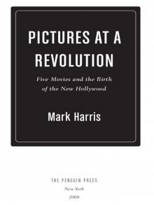 Pictures at a Revolution