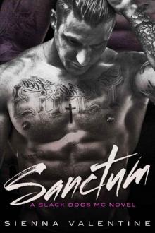 Sanctum: A Motorcycle Club Romance Novel