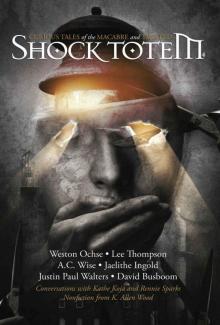 Shock Totem 4: Curious Tales of the Macabre and Twisted