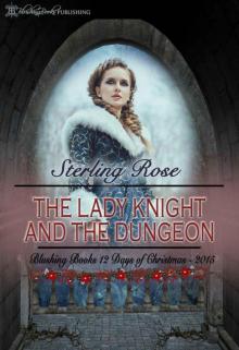 The Lady Knight And The Dungeon