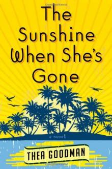 The Sunshine When She's Gone: A Novel