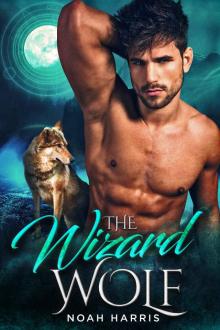 The Wizard Wolf: WindWard Book One