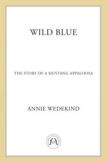 Wild Blue - The Story of a Mustang Appaloosa