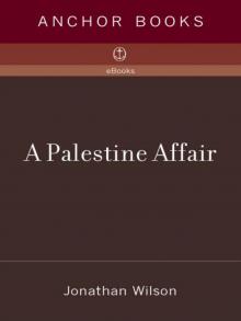 A Palestine Affair