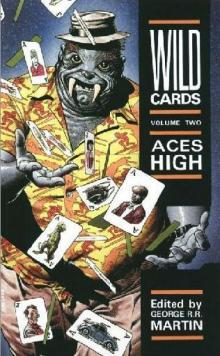 Aces High wc-2