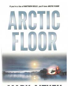 Arctic Floor