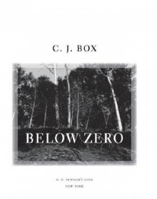 Below Zero jp-9