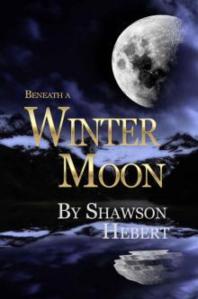 Beneath a Winter Moon