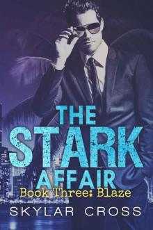 Blaze (The Stark Affair Book 3)