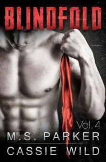 Blindfold Vol. 4: Alpha Billionaire Romance