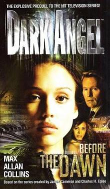 Dark Angel Before the Dawn da-1