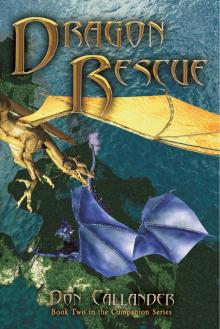 Dragon Rescue