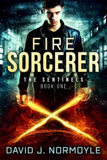 Fire Sorcerer (The Sentinels Book 1)