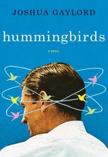 Hummingbirds