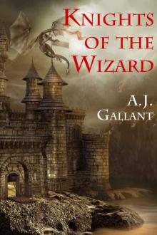 Knights of the Wizard (of Knights and Wizards Book 2)