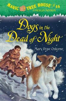 Mary Pope Osborne - Magic Tree House 46