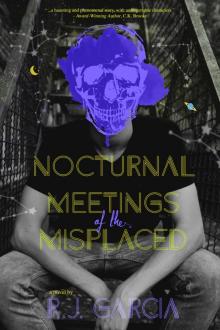 Nocturnal Meetings of the Misplaced