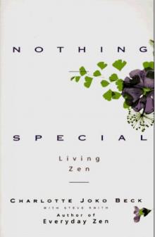 Nothing Special: Living Zen