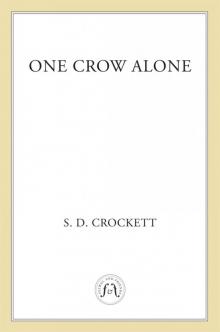 One Crow Alone