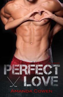 Perfect Love (Perfect Series Book 2)