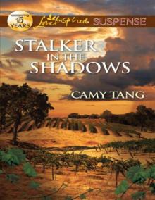 Stalker in the Shadows (Love Inspired Suspense)