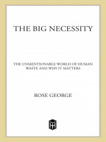 The Big Necessity