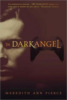 The Darkangel