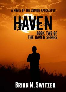 The Haven Series (Book 2): Haven