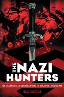 The Nazi Hunters