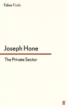 The Private Sector (A Peter Marlow spy thriller)