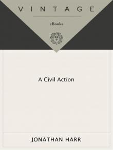 A Civil Action