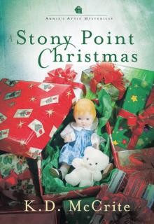 A Stony Point Christmas