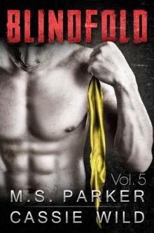 Blindfold Vol. 5: Alpha Billionaire Romance