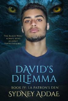 David's Dilemma (La Patron's Den Book 4)