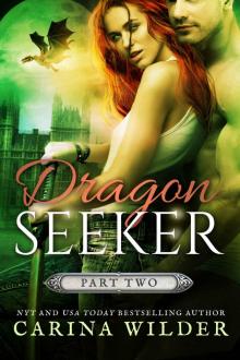 Dragon Seeker Part Two