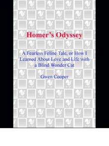 Homer's Odyssey